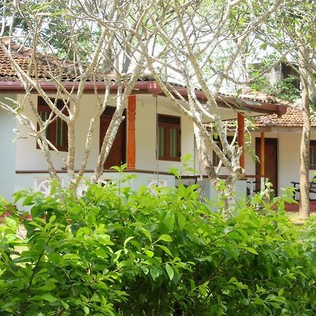 Calm Garden Cabanas Tangalle Exterior foto