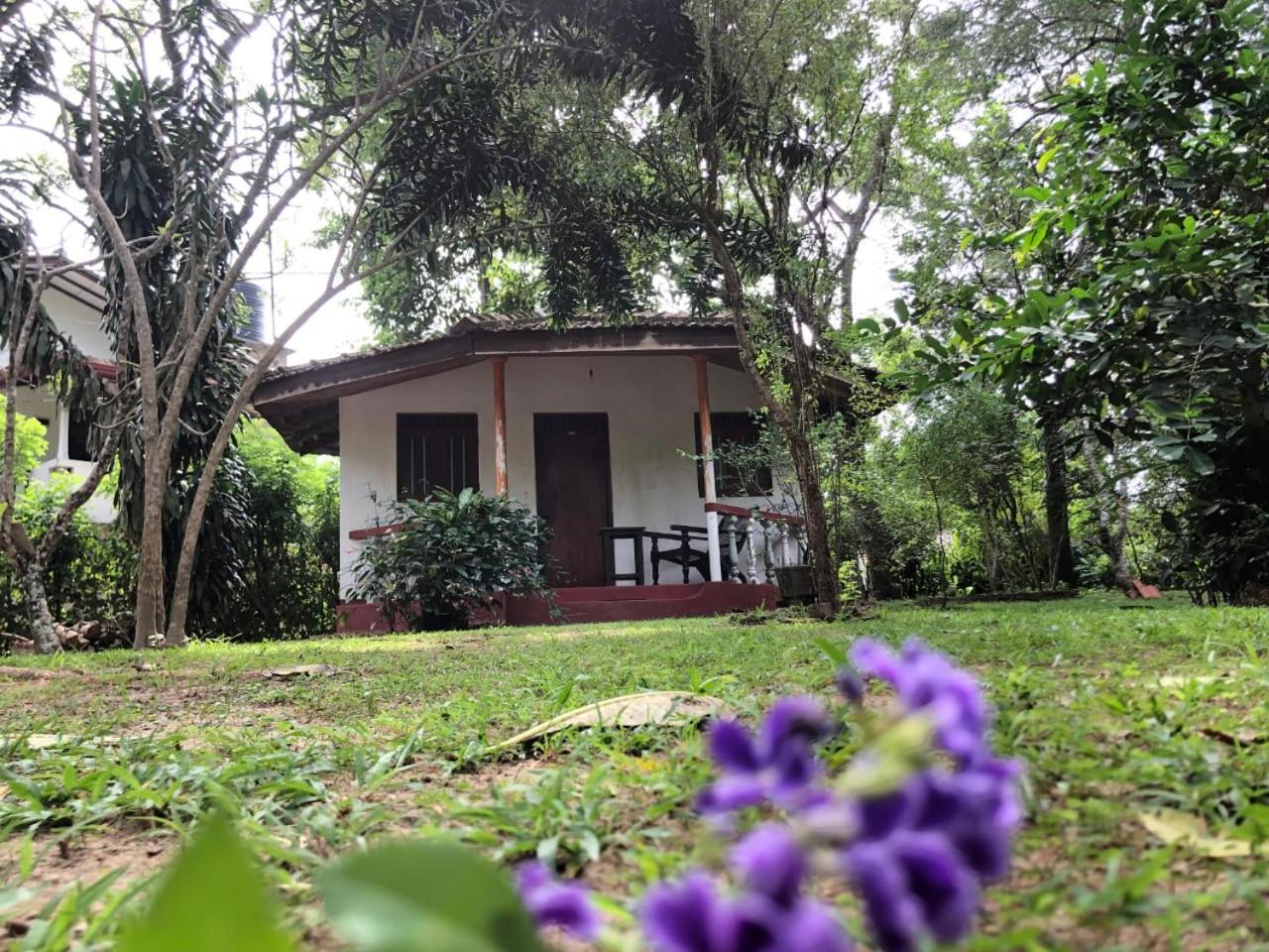 Calm Garden Cabanas Tangalle Exterior foto